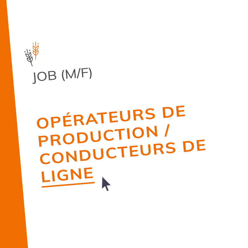 Opérateurs De Production / Conducteurs De Ligne (M/F)