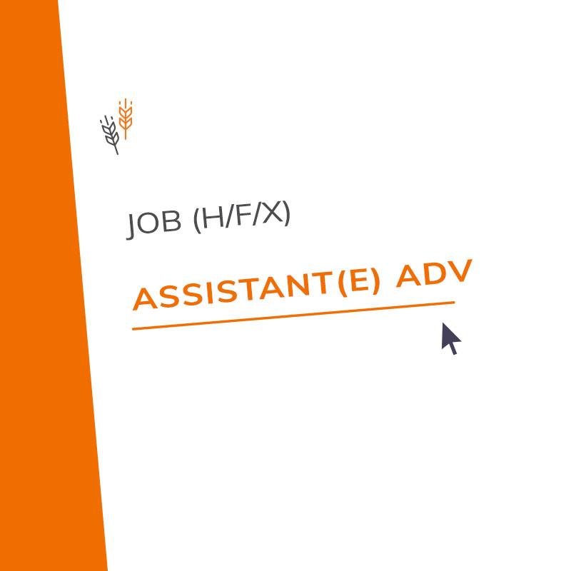 Assistant(e) ADV (H/F/X)