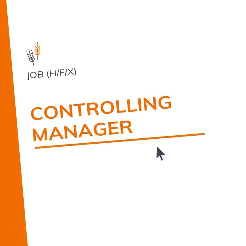 Controlling Manager (H/F/X)
