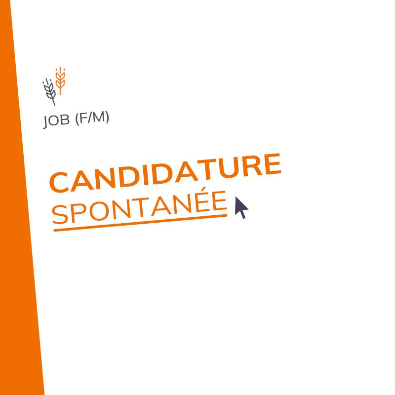 Candidature Spontanée