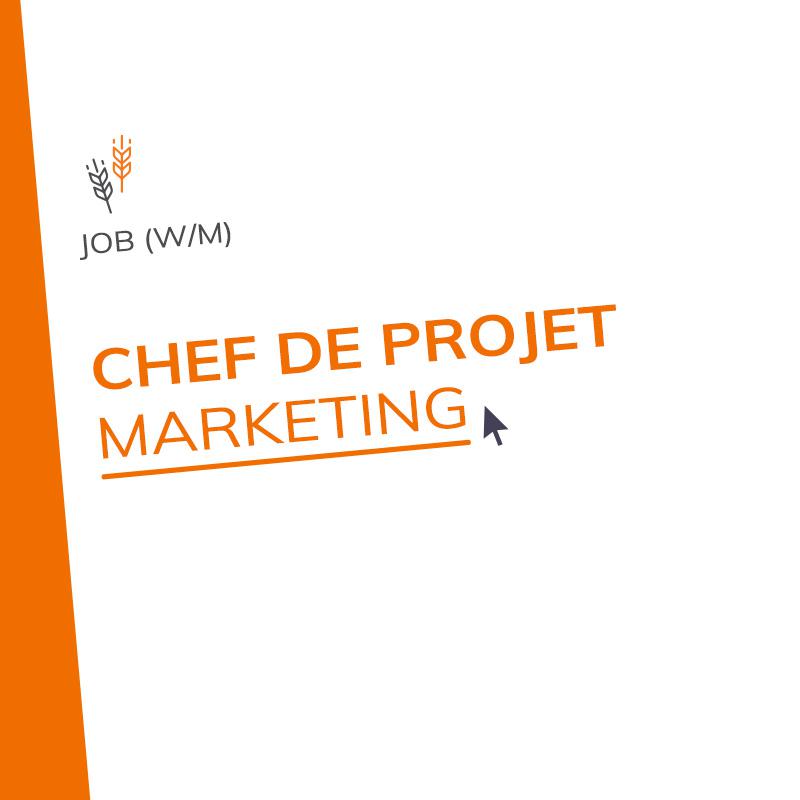 Chef de projet marketing senior web et print (m/f)