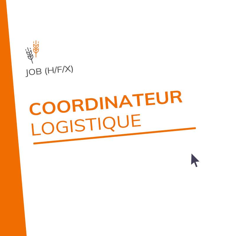 Coordinateur logistique (H/F/X)
